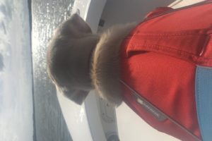 CANINE-REVIEW-NELLIE-SEA-ISLAND-FISHING-LIFE-JACKET
