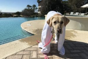 Nellie.Pool.SeaIsland Nellie.Pool.SeaIsland