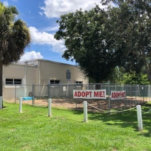 Humane Society of Vero Beach and Indian River County 3