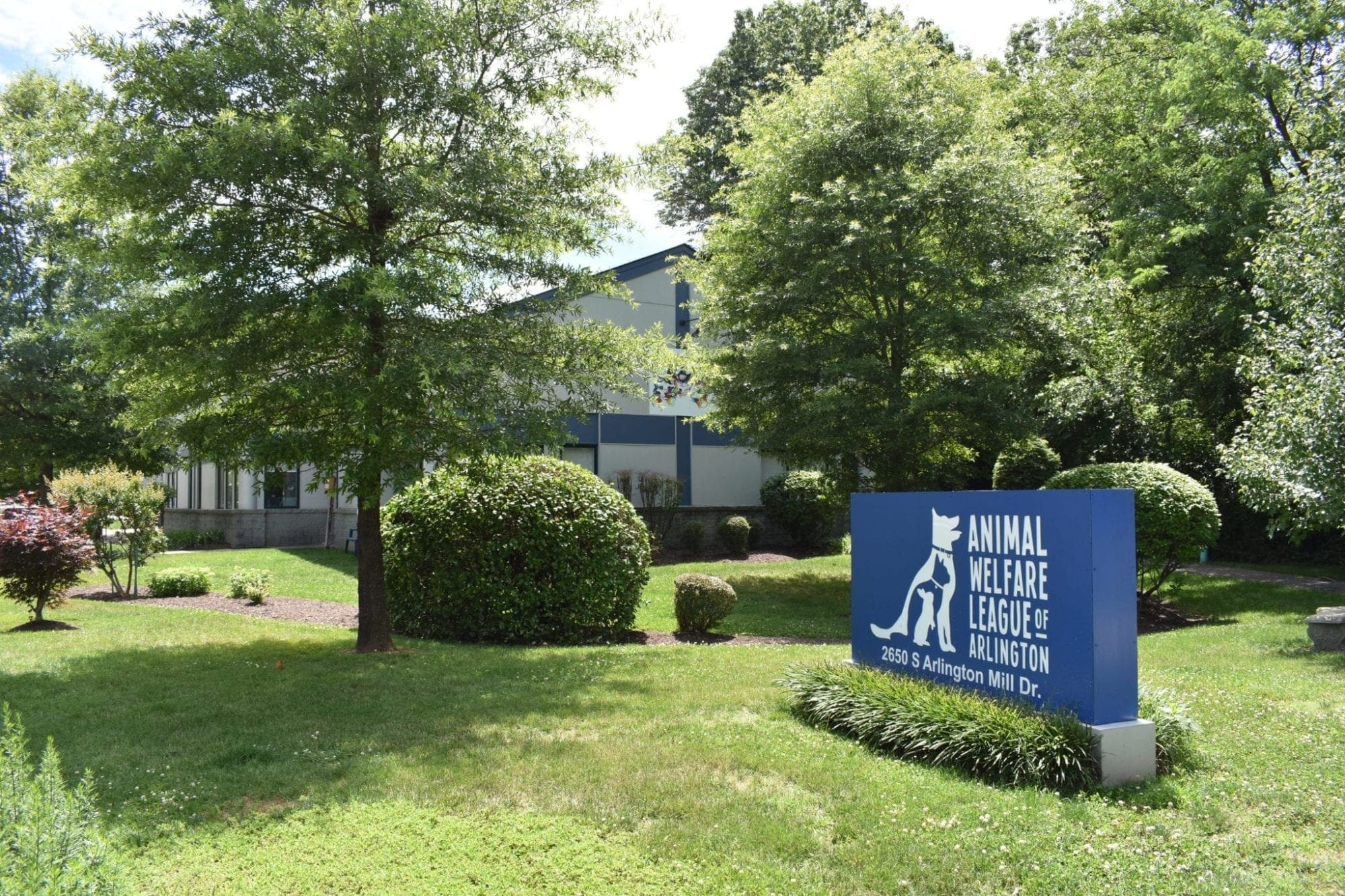 canine-review-animal-welfare-league-arlington02 canine-review-animal-welfare-league-arlington02