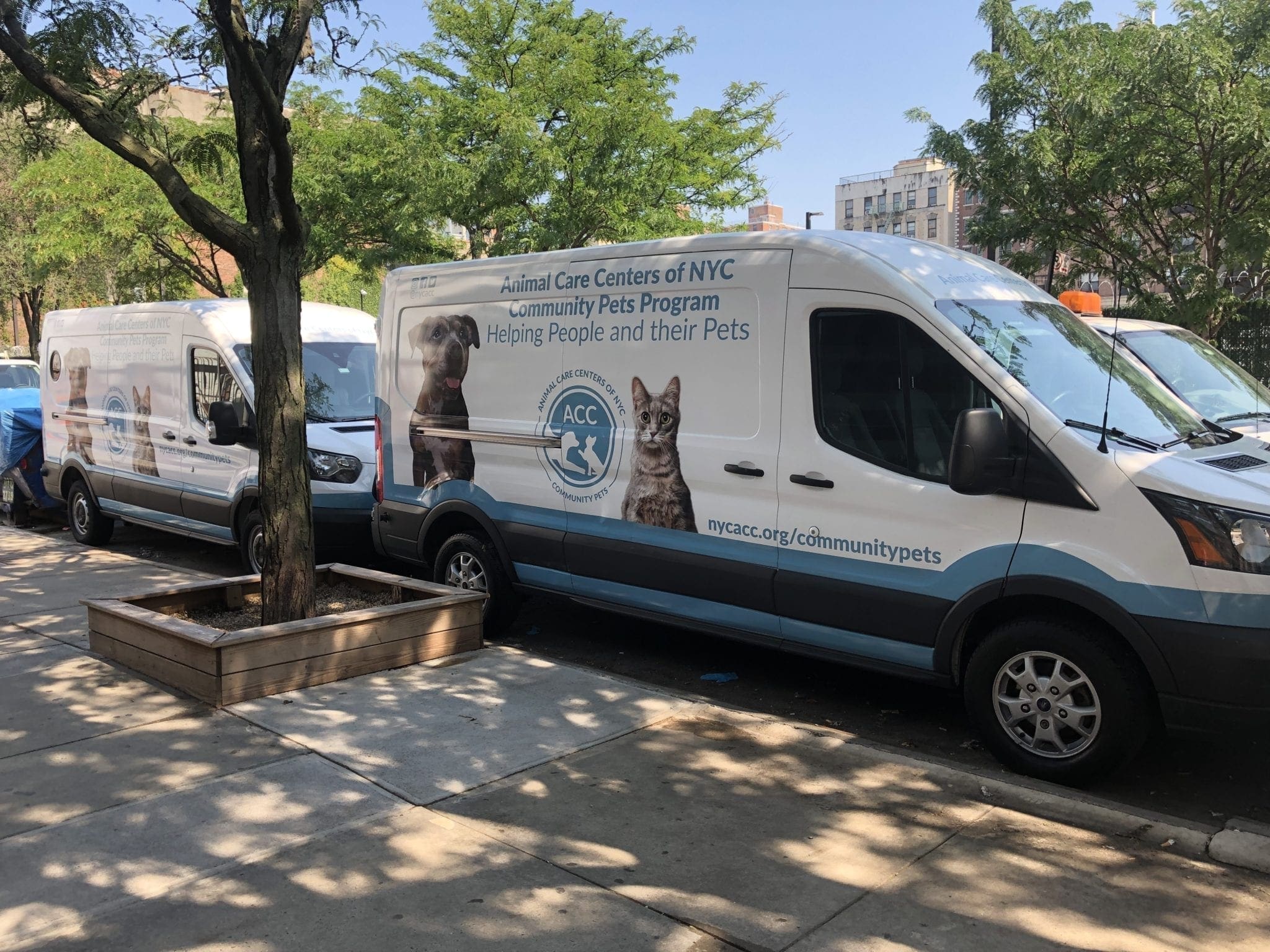 canine-review-nycacc-nycacc-vans-004
