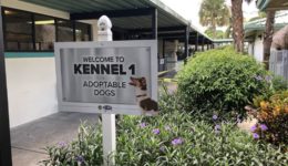 canine-review-kennels-palm-beach-acc-ext