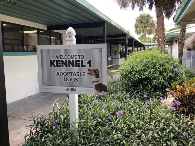 Palm Beach County Animal Care & Control | The Canine Review