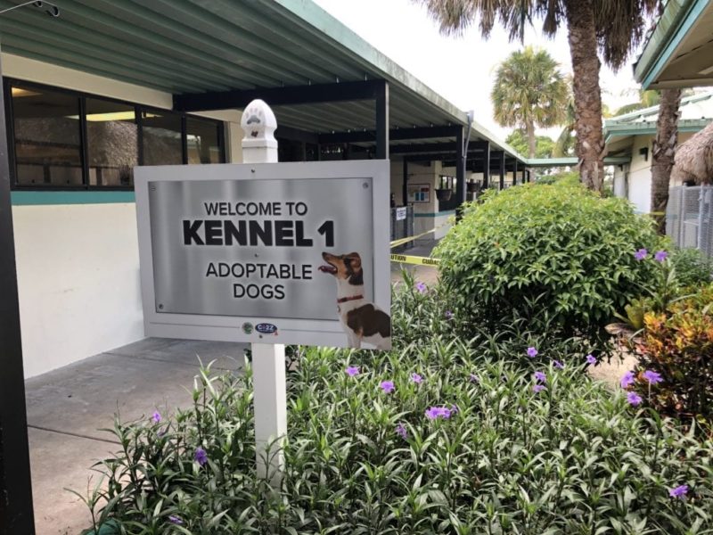 Palm Beach County Animal Care & Control | The Canine Review Palm Beach County Animal Care & Control | The Canine Review
