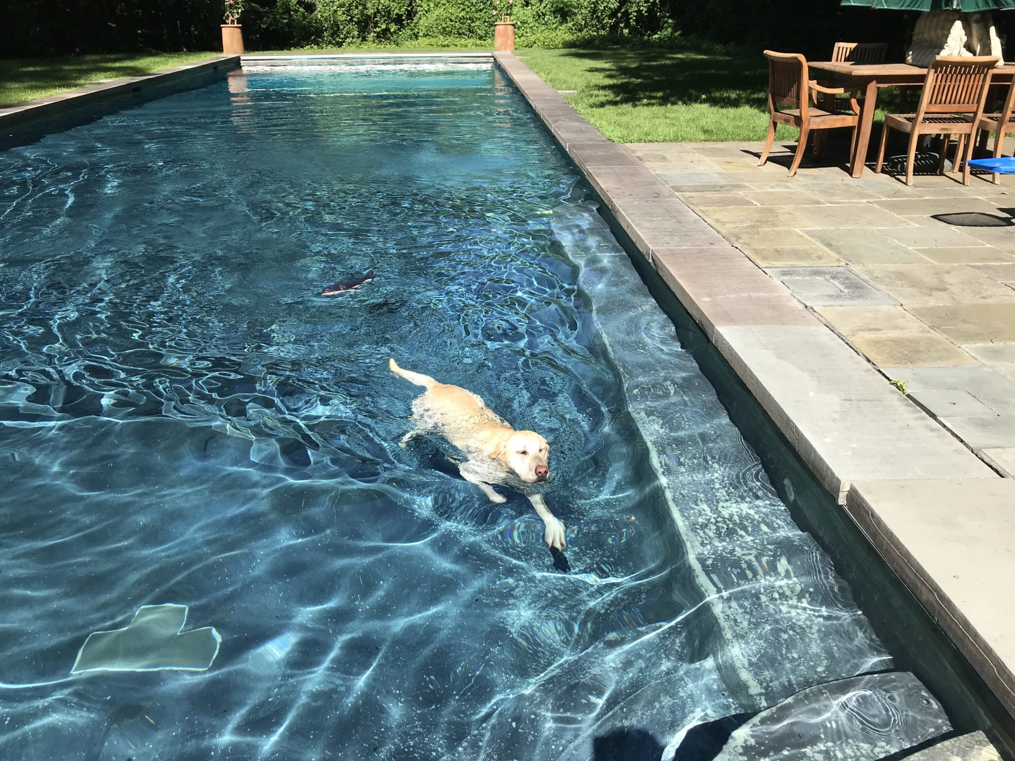 nellie-pool-2019-approachingbench nellie-pool-2019-approachingbench