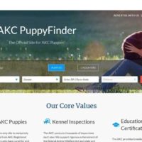 canine-review-marketplace.akc.org