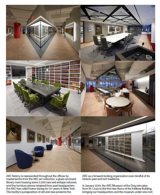 The American Kennel Club's newly redesigned, newly located Manhattan offices at 101 Park Avenue. Screenshot taken from the AKC's 2018 Annual Report, p.9
