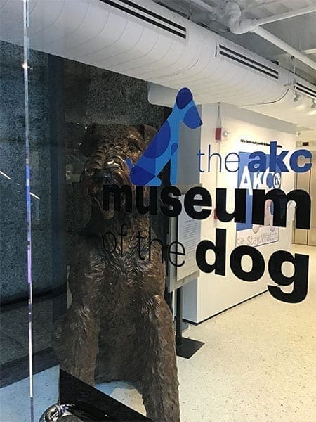tcr-_0012_AKC-Museum-Lobby-9