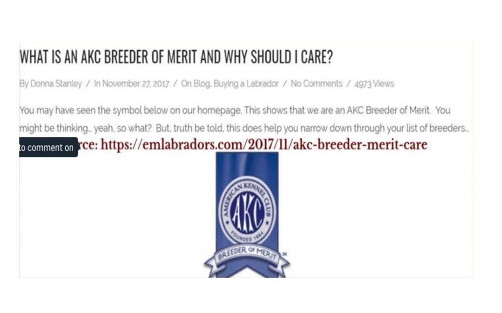 Screenshot, Endless Mountain Labrador Blog Post: "What is an AKC Breeder of Merit and Why Should I Care?"