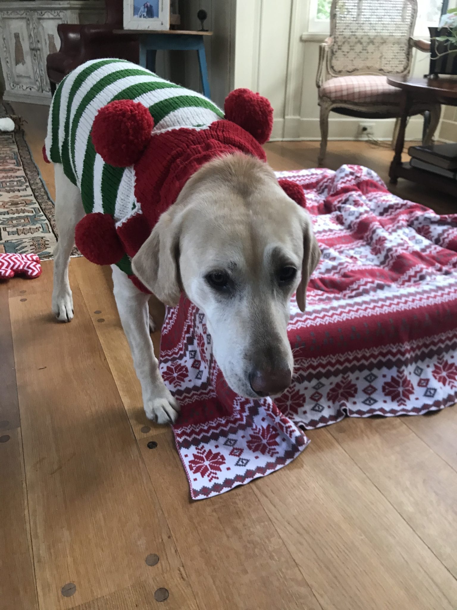 nellie-elf sweater-2019