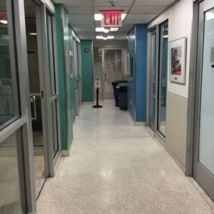ASPCA hallway