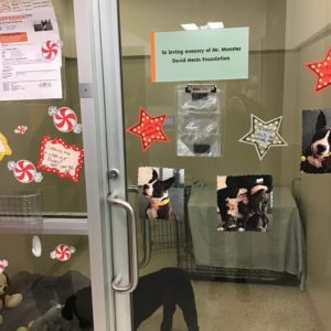 Peppermint Kennel ASPCA Adoption Center