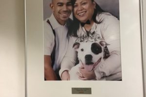 Pet Owners Photos on Wall