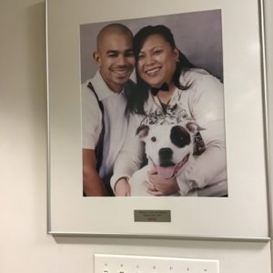 Adopters with pets -- photos on wall