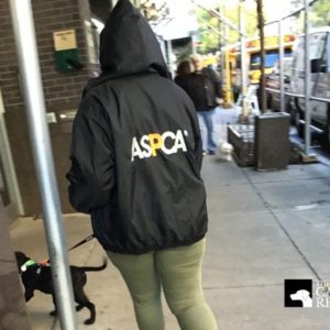 aspca dog returning from walk outside adoption center