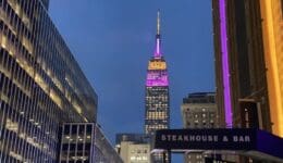 The Final Night of Westminster 2020