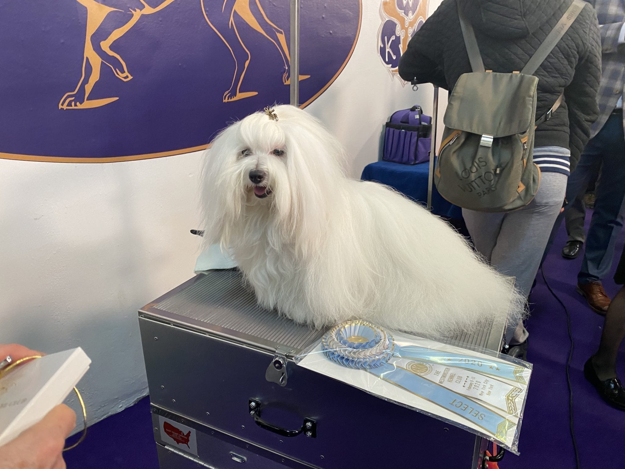 canine_review_una_coton
