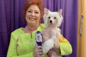 Owner and handler Kathy with "Jiggy" age 4. "This is the Jiggy brush!" Kathy tells us, holding up Jiggy's personalized, hand-painted brush.  Asked about how much time it takes to get Jiggy ready for a show, Kathy says, “For her, because she’s got a lot of body hair, 45 minutes, maybe," she says. "I bathe her, then I use a blowdryer," Kathy adds.
