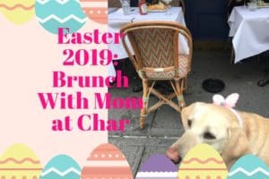 canine-review-easter2019a