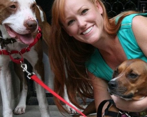 A Dog Changed Her Life. Now She Rescues Them By The Dozen.
