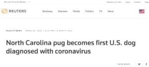 After Thomson Reuters ran this false story about a dog testing positive for Coronavirus, local news outlets across the country picked it up.