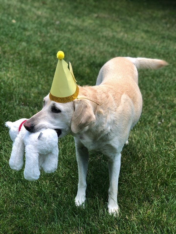 Nellie birthday 2020 Nellie birthday 2020