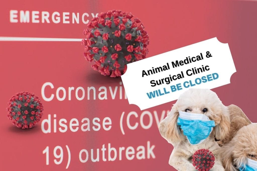 covid-hospital-closed-veterinarian