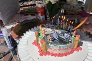 dog birthday party july 2020 cake candles dog birthday party july 2020 cake candles