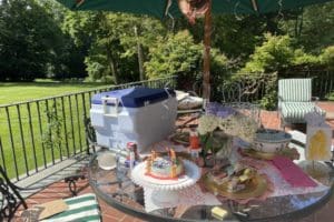 dog birthday party july 2020 decorations dog birthday party july 2020 decorations