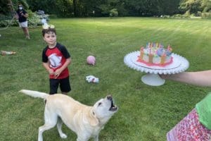 dog birthday party july 2020 nellie barking at cake liam