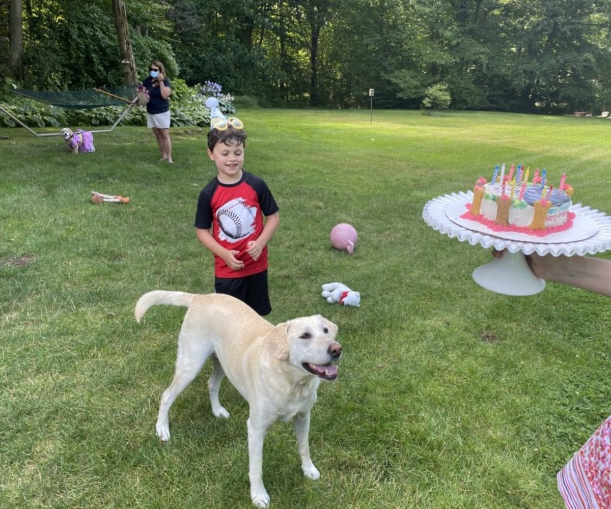dog birthday party july 2020 nellie cake2