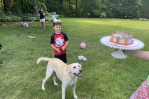 dog birthday party july 2020 nellie cake2