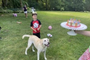 dog birthday party july 2020 nellie cake2 dog birthday party july 2020 nellie cake2