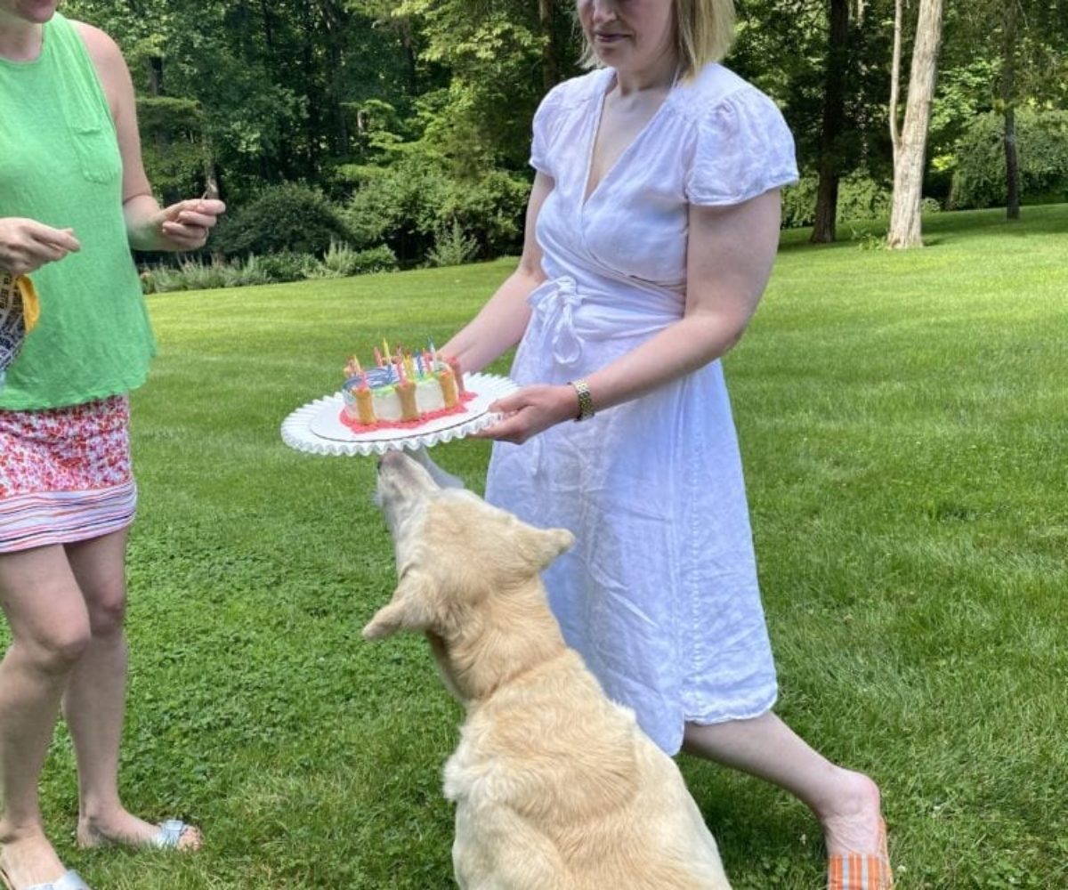 dog birthday party july 2020 nellie emily katy cake