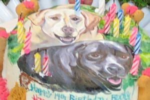 dog cake 2 dog cake 2