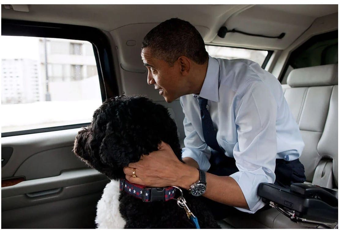 Bo and President Obama christmas shopping Bo and President Obama christmas shopping