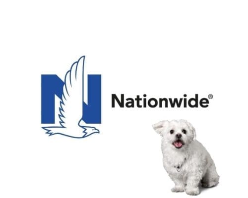 Nationwide-Pet-insurer-Featured Image w Dogs