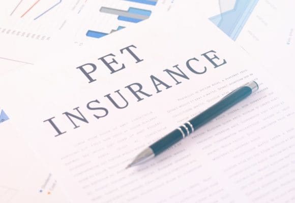 pet ins form pet ins form