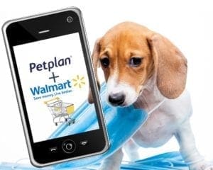 Walmart and its first partner, Petplan