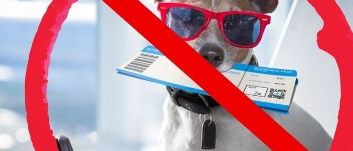 dog banned