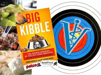 jffd feat image Just Food For Dogs Book attacks Veterinarians