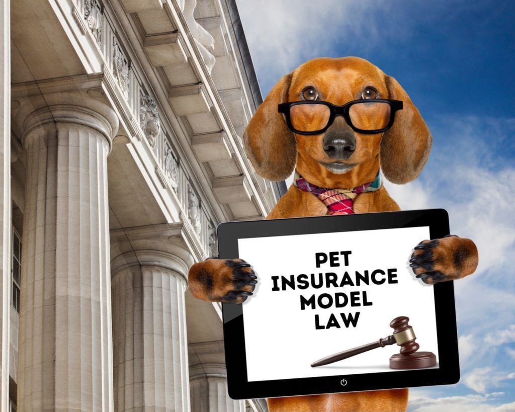 pet-insurance-model-law
