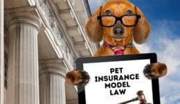 pet-insurance-model-law