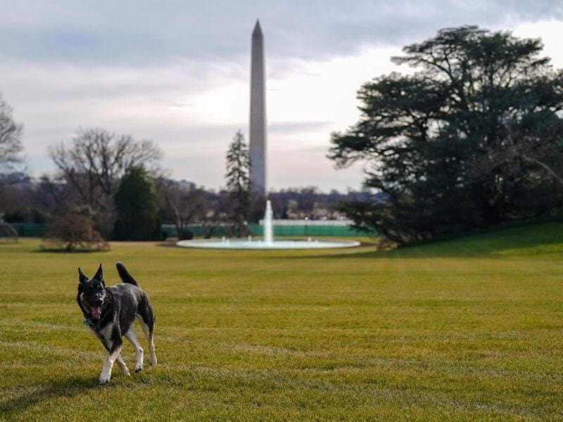 Major arrives at the White House - Official White House Photos