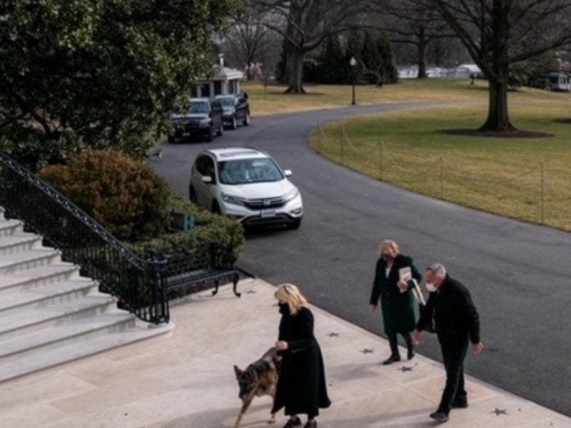 Champ and Major arriving at the White House
