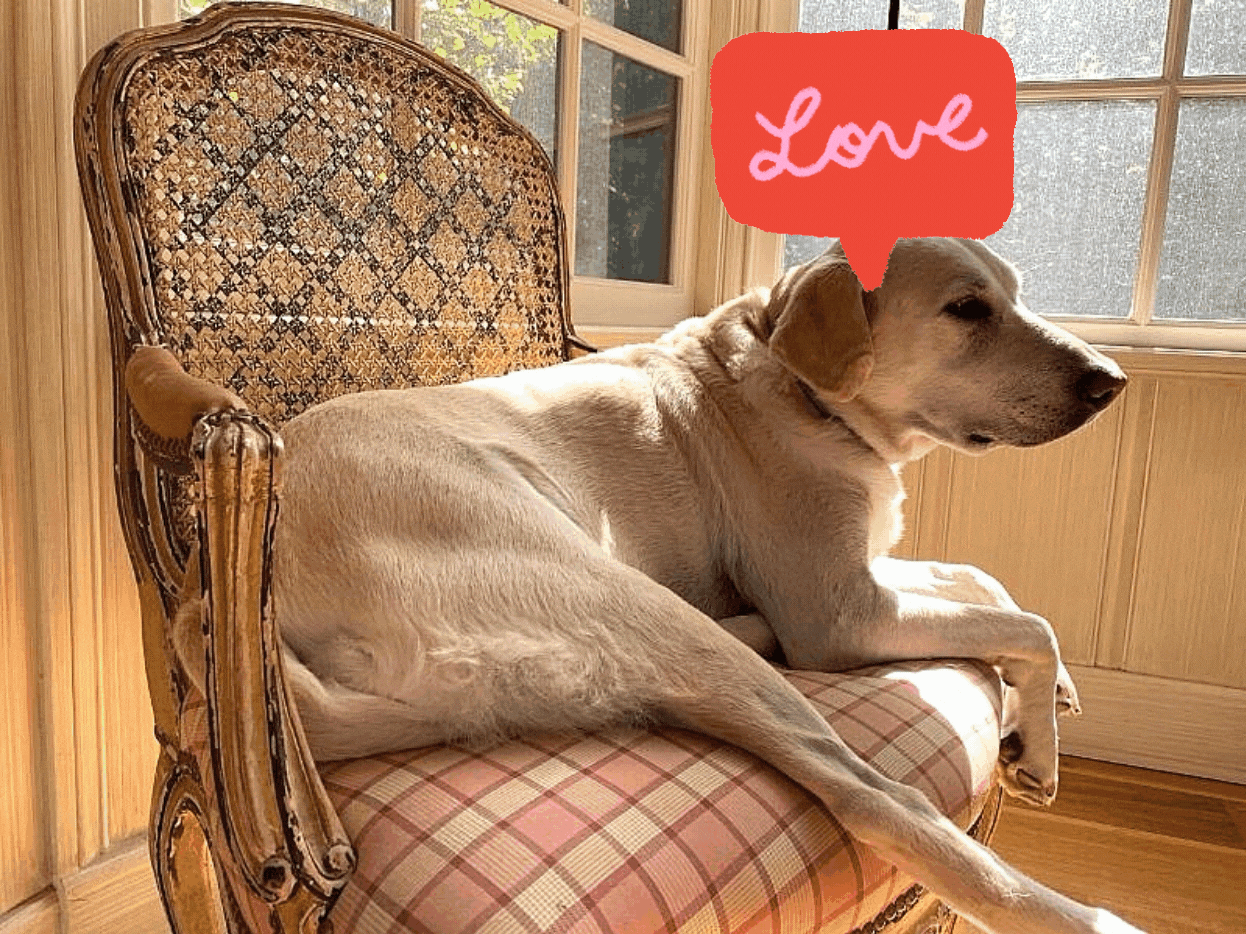 Nellie heart Nellie heart