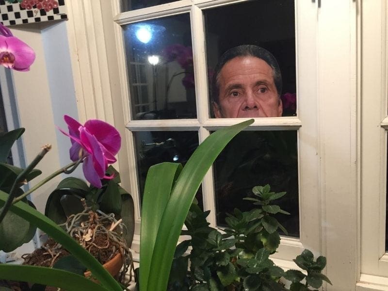 peeping cuomo in our window