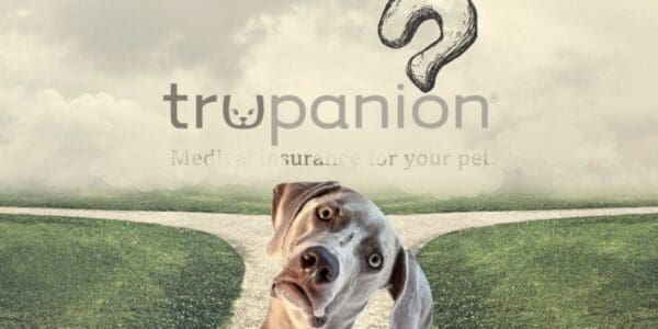 trupanion-crossroad trupanion story