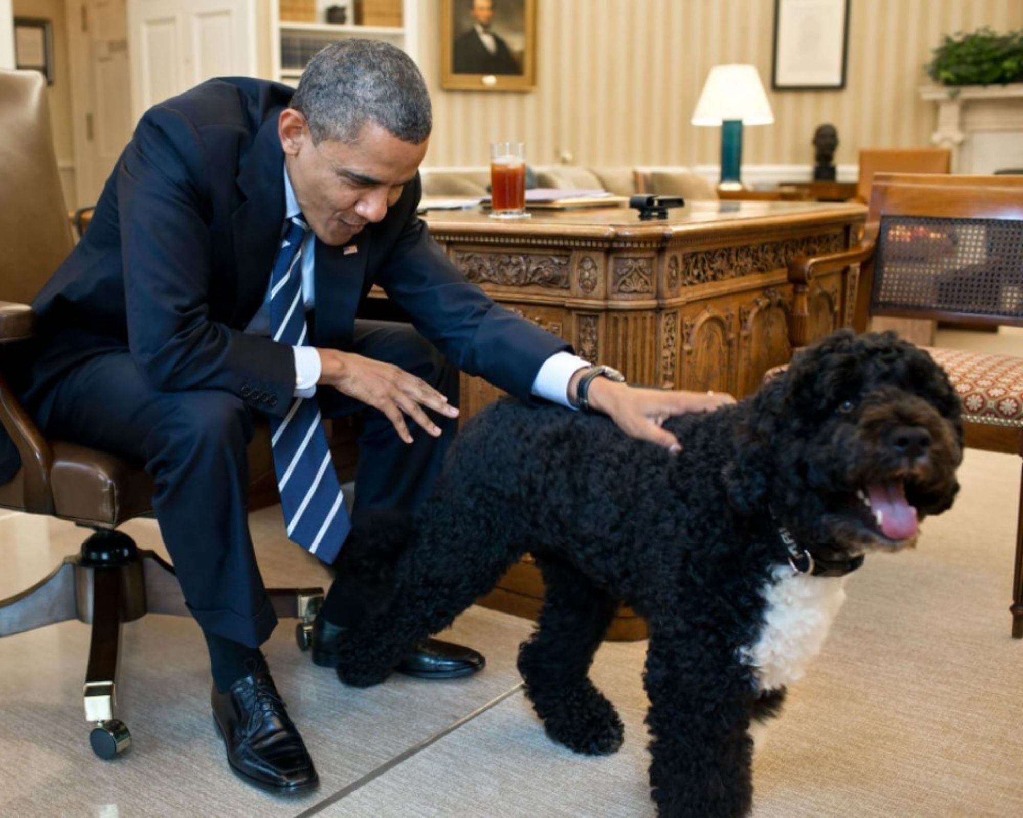 souza bo b.o. oval