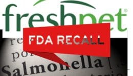 freshpet recall feature image